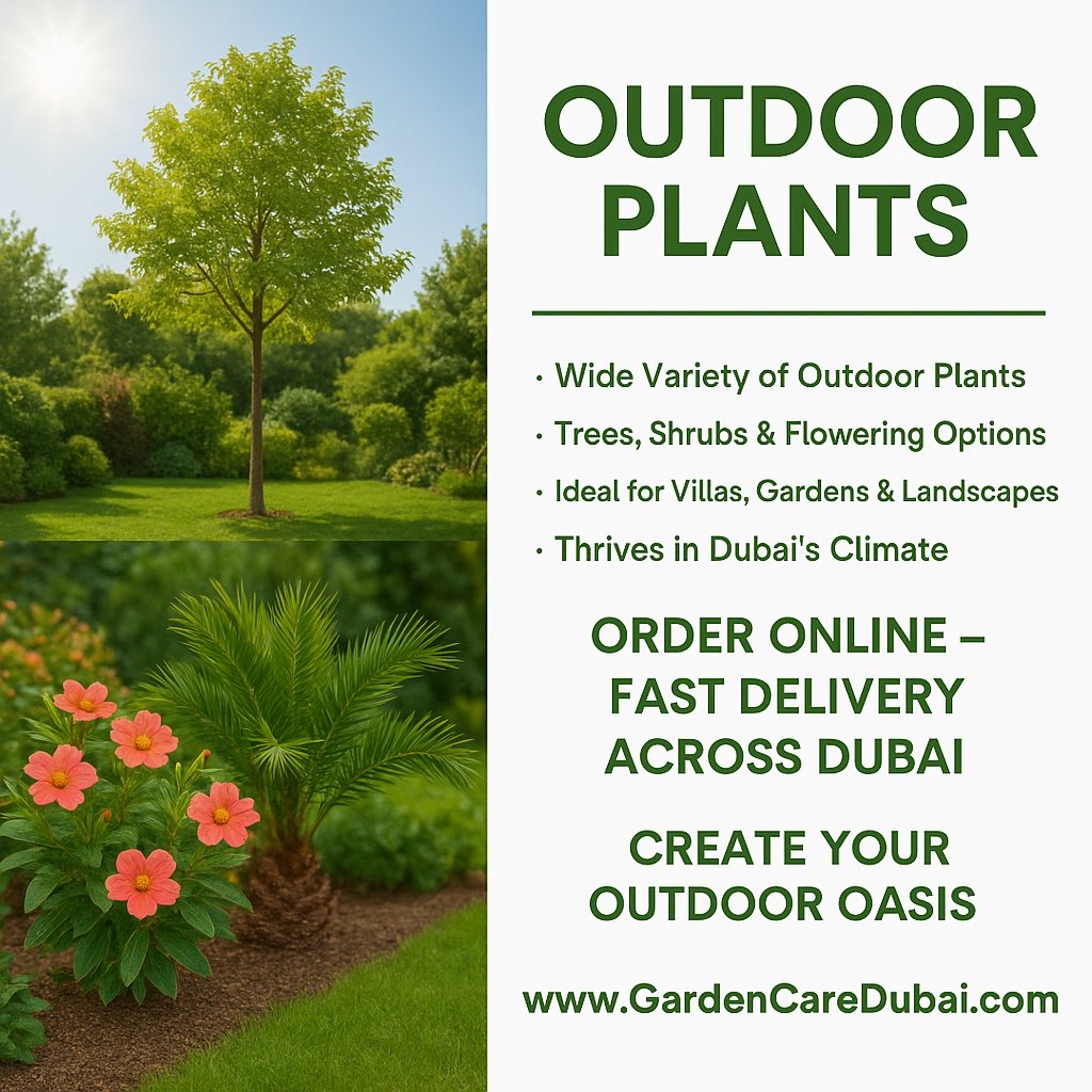 Outdoor Plants